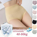 Sanivelle | High Waist Control Briefs