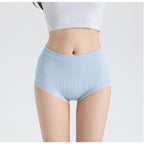 Sanivelle | High Waist Control Briefs